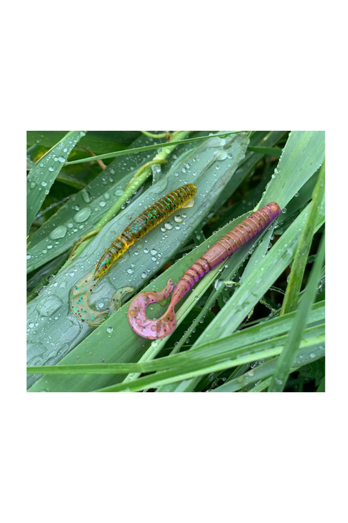 Grub FishUp Vipo 5.2cm #050 Green Pumpkin Brown Red & Purple 5.2cm #050 Green Pumpkin Brown Red & Purple [1]