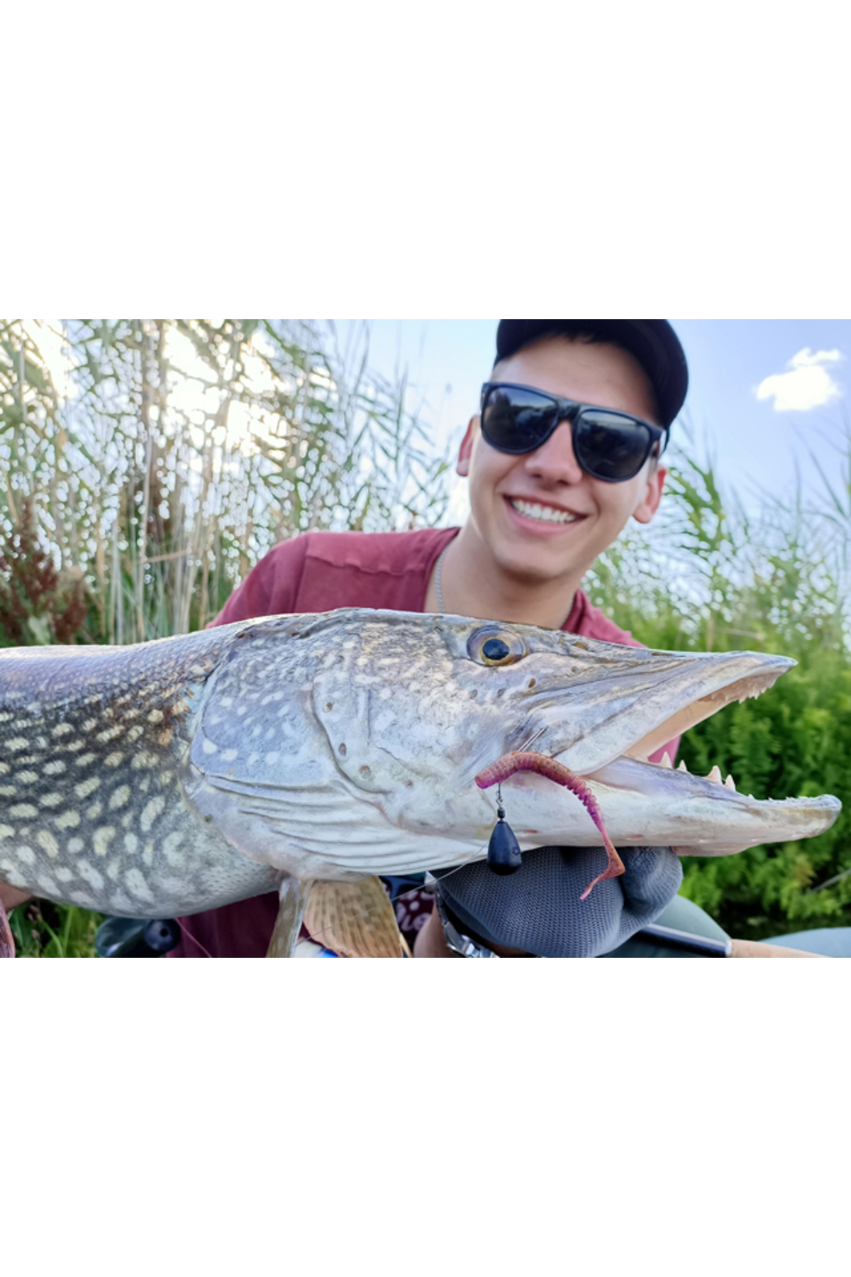 Grub FishUp Vipo 5.2cm #057 Bluegill 5.2cm #057 Bluegill [3]