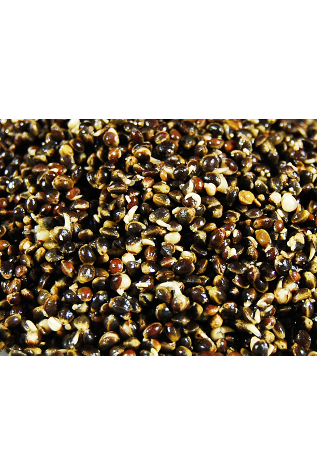 Select Baits Chilli Hemp 3L [1]