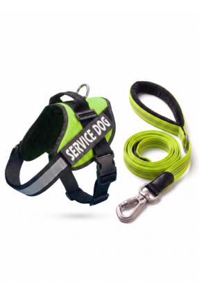 Tasma Market Köpek Göğüs Tasması Seti Ayarlanabilir (Göğüs + Gezdirme Tasması...