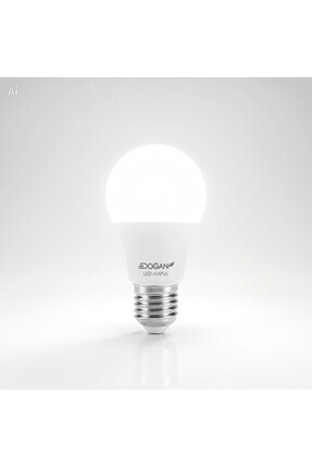 Aslan Yapı Hırdavat 12 Watt Beyaz Led Ampul 5 Adet