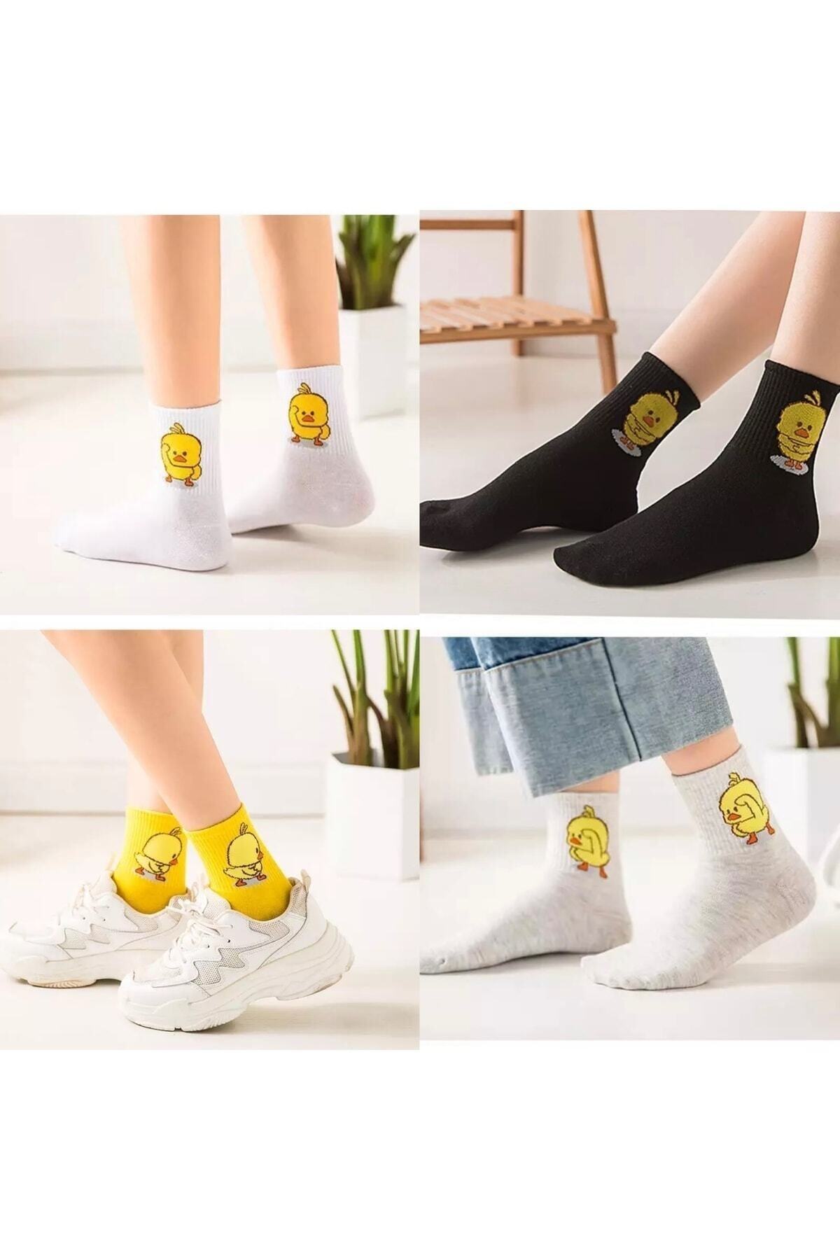 çorapkolik 5 Çift Unisex Renkli Çeşitli Desenli Yıkamalı Civciv Kolej Tenis Çorap görsel 5