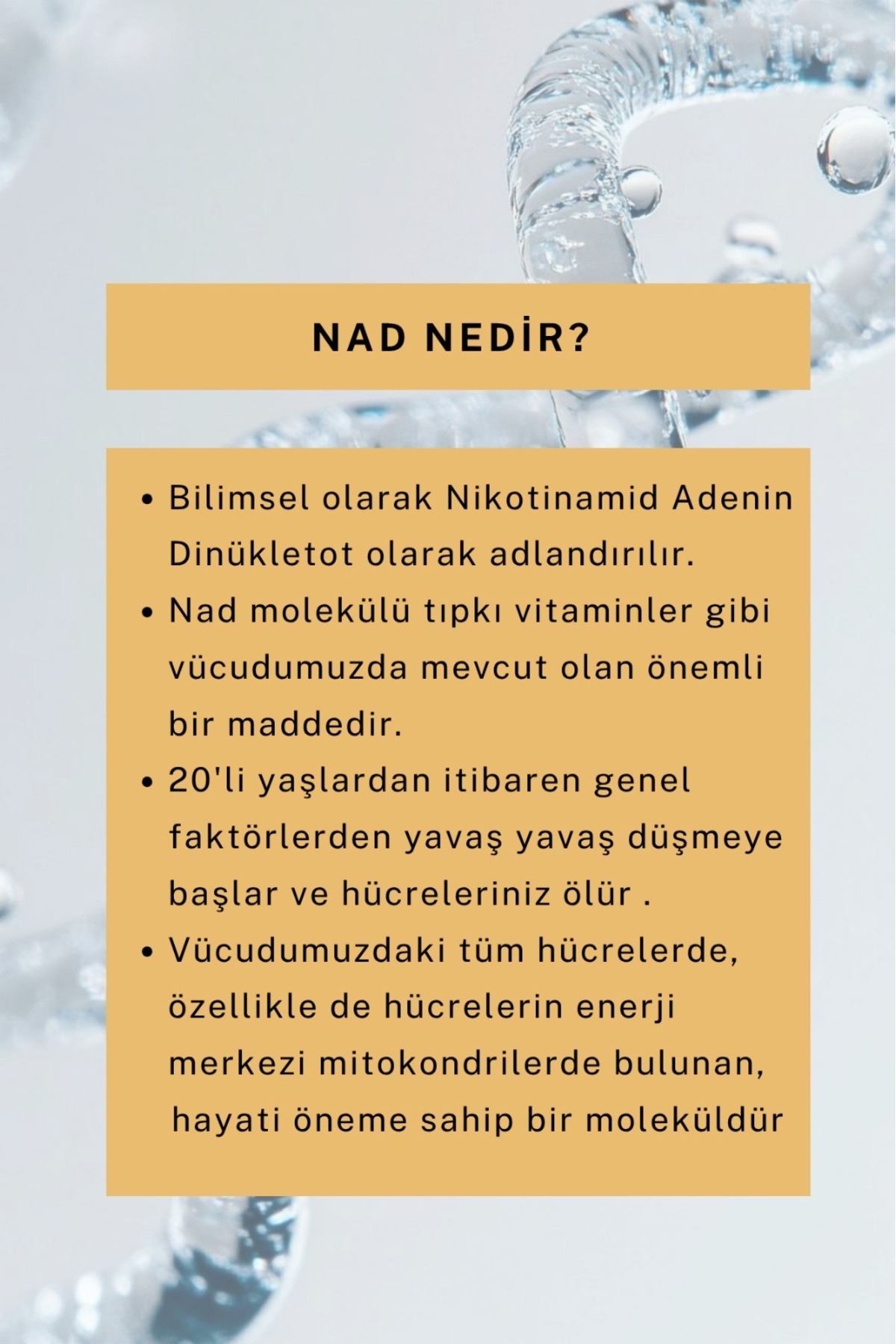 NAD+ Yüz Sabunu Leke Karşıtı, Aydınlatıcı (NAD+, Hyalüronik Asit, Niasinamid, Vitamin E) 100 ML 2 ADET — DNS001 — تصویر 5 از 5