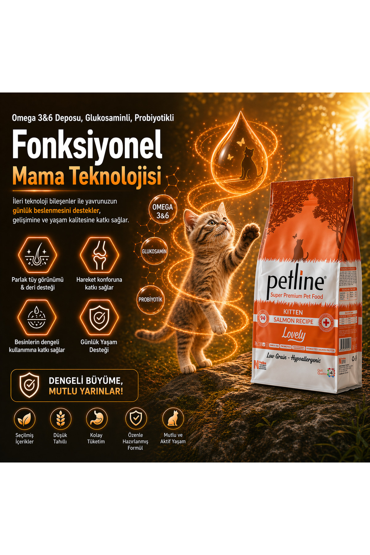 Petline Omega 3&6 Deposu, Glukosaminli, Probiyotikli Yavru ve Yetişkin Kedi Maması 1,5kg - Lovely - Fiyatı, Yorumları