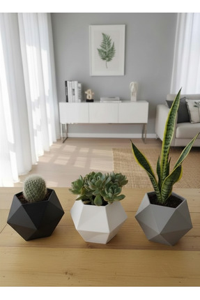 triora Geometrik Model kaktüs saksı 3lü set: Modern Ev Dekorasyon Saksı 3D PLA