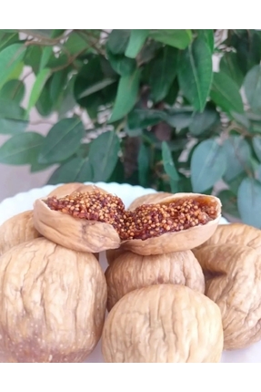 Fruvella DOĞAL ÜRÜNLER Büyük Boy Aydın Nazilli Dağ İnciri 1 Kg