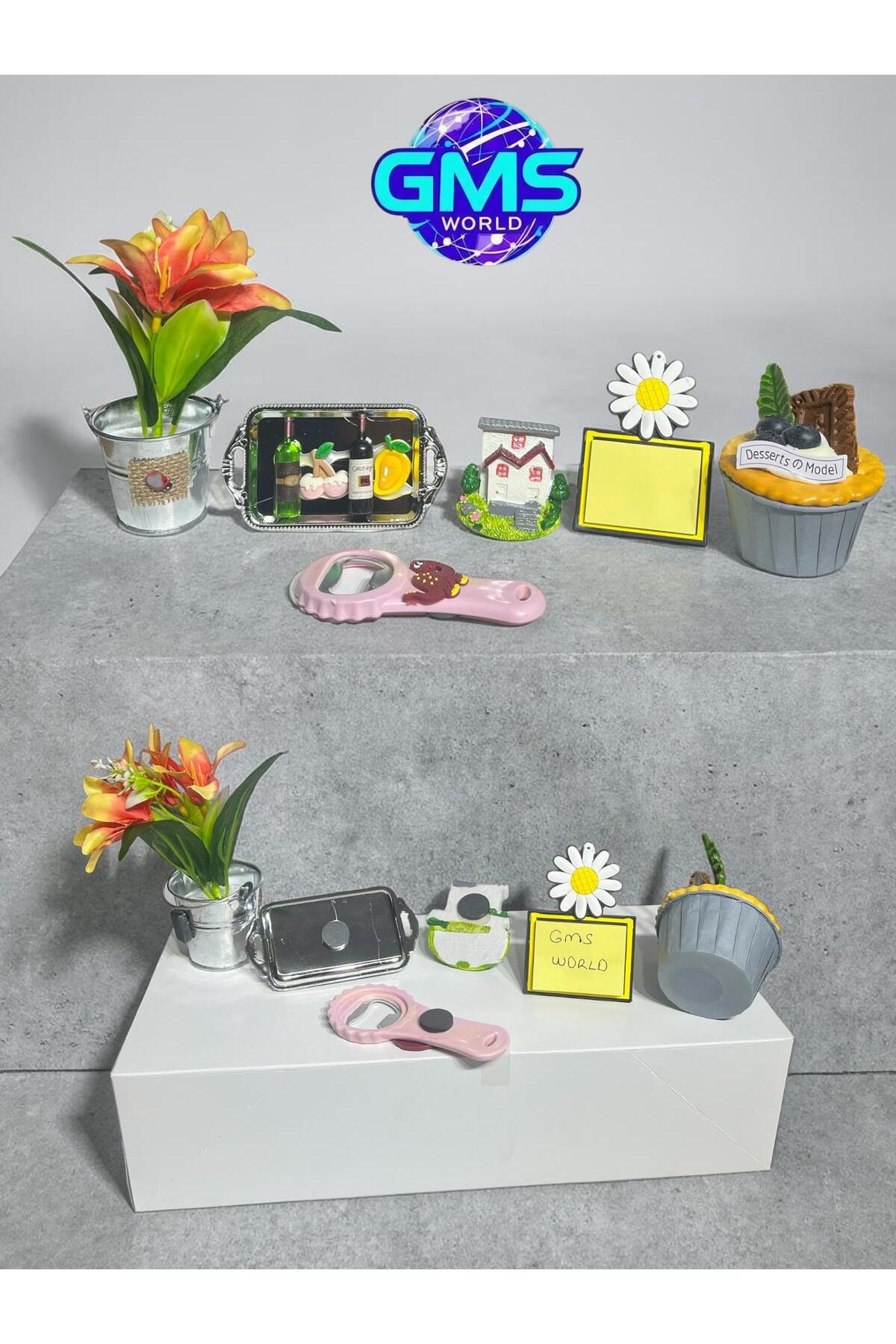 GMS WORLD 6 LI BUZDOLABI MAGNET SETİ (ŞİŞE AÇACAKLI) MODEL-3