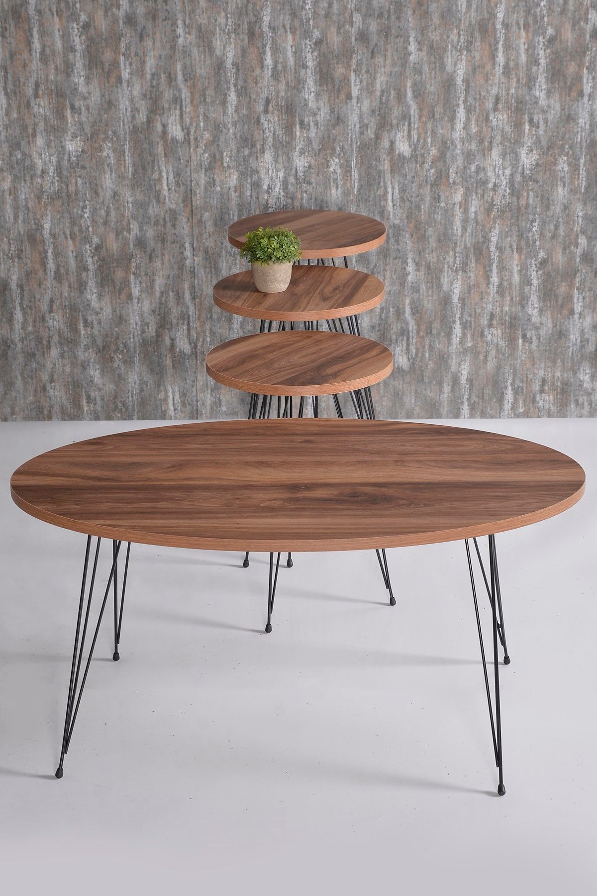Orta Sehpa Ve Zigon Sehpa Ceviz Set Tel Ayak Elips - 3