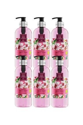 Doğal Zeytinyağlı Sıvı Sabun Japon Kiraz Çiçeği 500 Ml X 6 Adet DUVENCI-EST-M1302