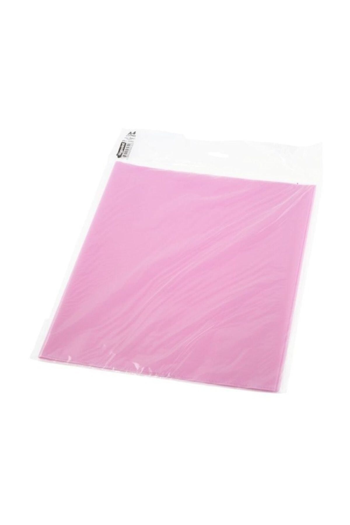 Bigpoint-A4 Ready-made Notebook Container 5 Pack Transparent Red Box of 25 1