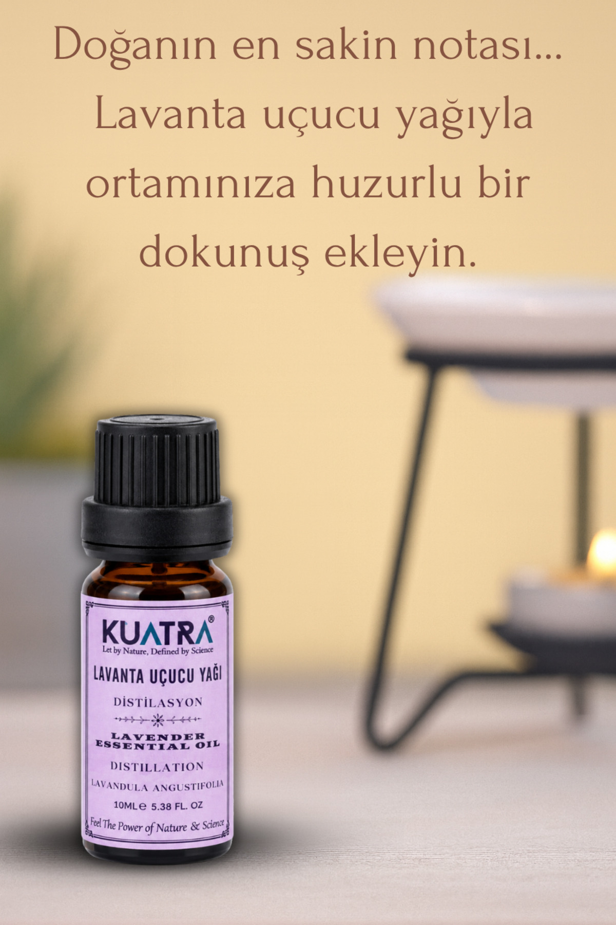 Lavanta Uçucu Yağı (lavandula Angustifolia) — lavanta 10ml — تصویر 3 از 8