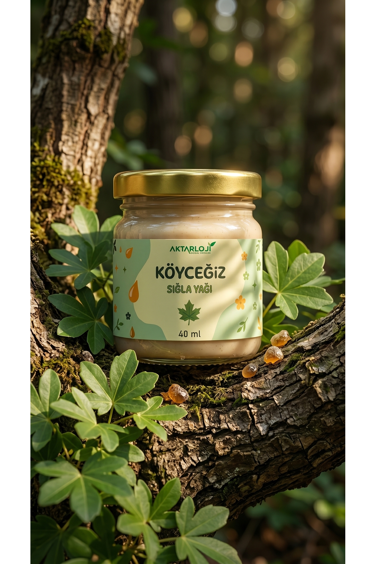 40 ml Köyceğiz Sığla Yağı / Yenilebilir / Saf ( Günlük Yağı ) Yoğun Kıvam - Katkısız & Doğal — A1-sıglayagı-40ml — تصویر 6 از 8