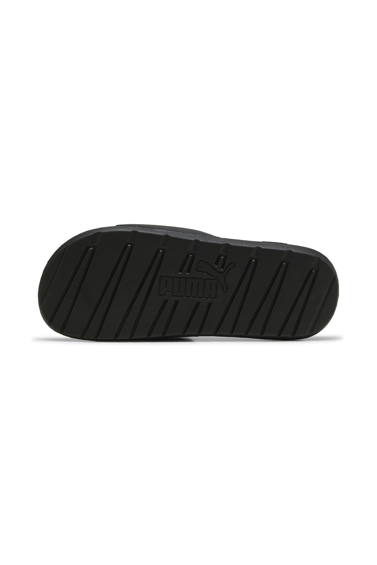 Cool Cat 2.0 Slides