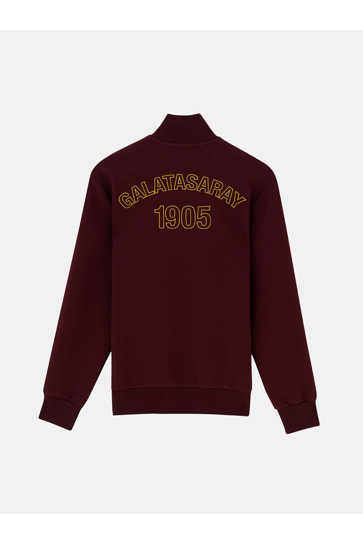 GSStore Galatasaray & Reflect Studio 1905 Hoodie RSE2609 görsel 5