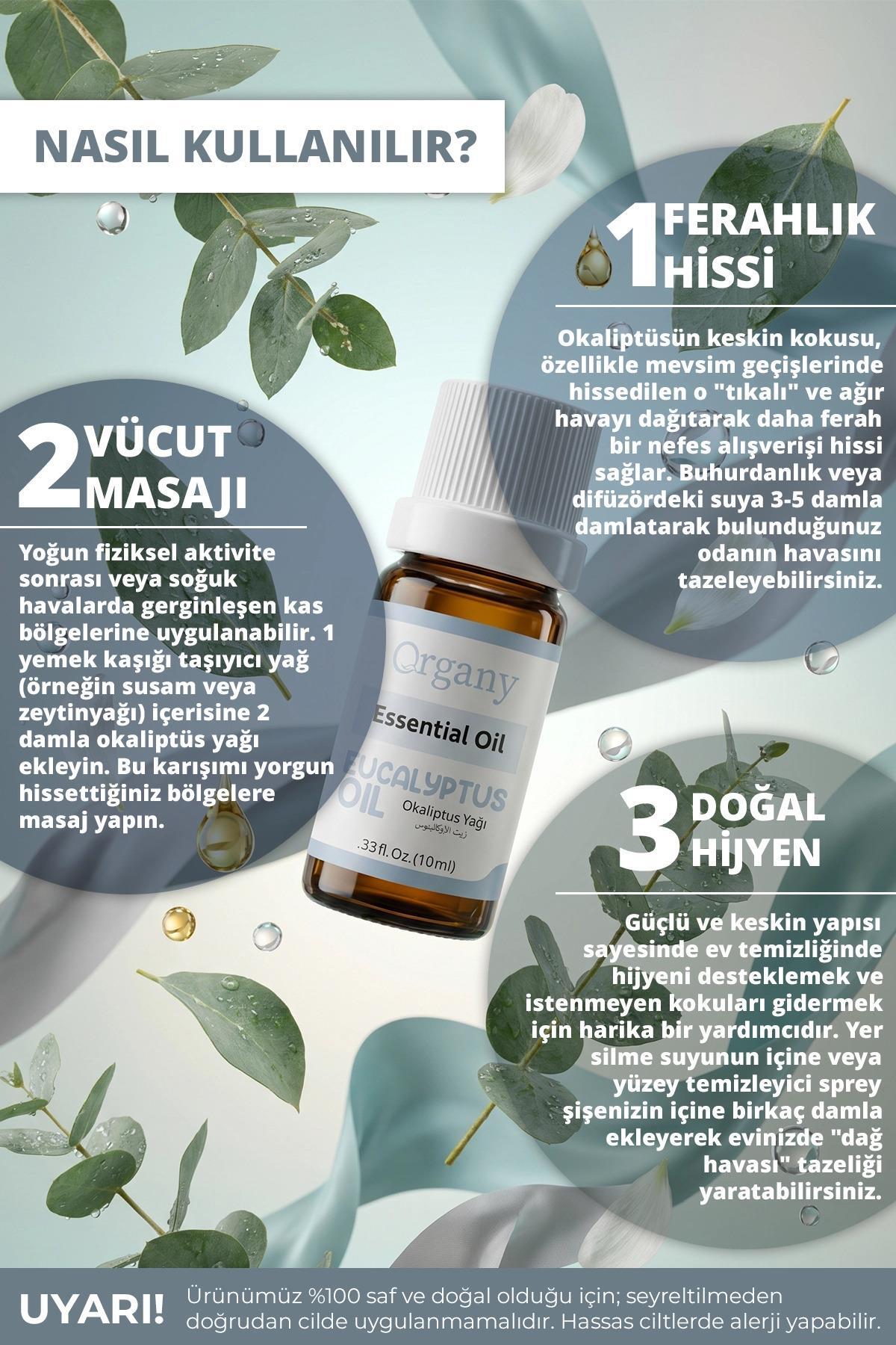 Okaliptus Yağı %100 Doğal Temiz Hava Aromaterapi Yağı Eucalyptus Essential Oil 10 ml — OGEY10OKO — تصویر 3 از 5