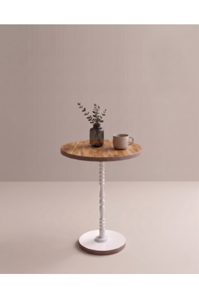 DUDECOR Modern Sehpa Ahşap Desen Sehpa Metal Ayaklı Minimal Salon Sehpası OSL...