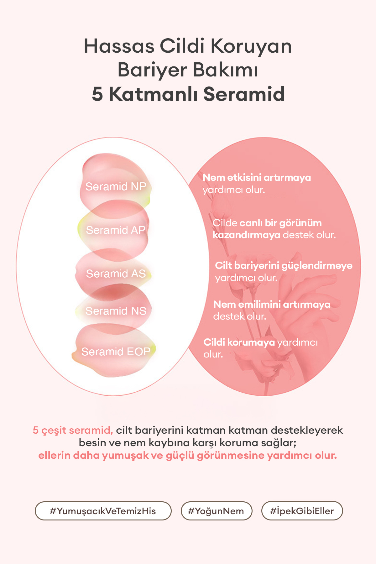 Yaşlanma Karşıtı YumuşatıcıParfümlü El Kremi Blooming Perfume Hand Cream (Flora Bouquet) — 9516 — تصویر 6 از 9