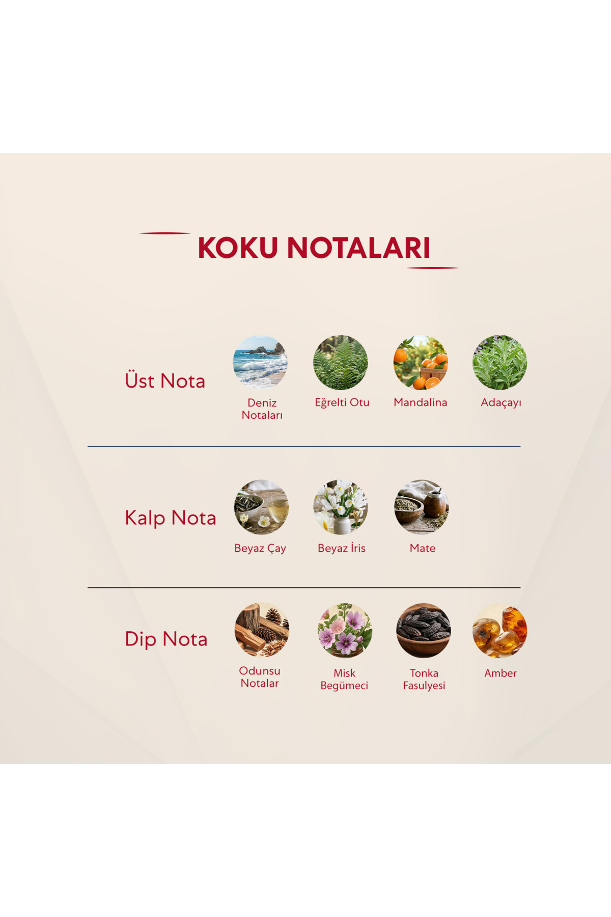 450 Edp Floral Kadın Parfüm ( 2 ADET) 50 ml — WHITETEASET — تصویر 2 از 3
