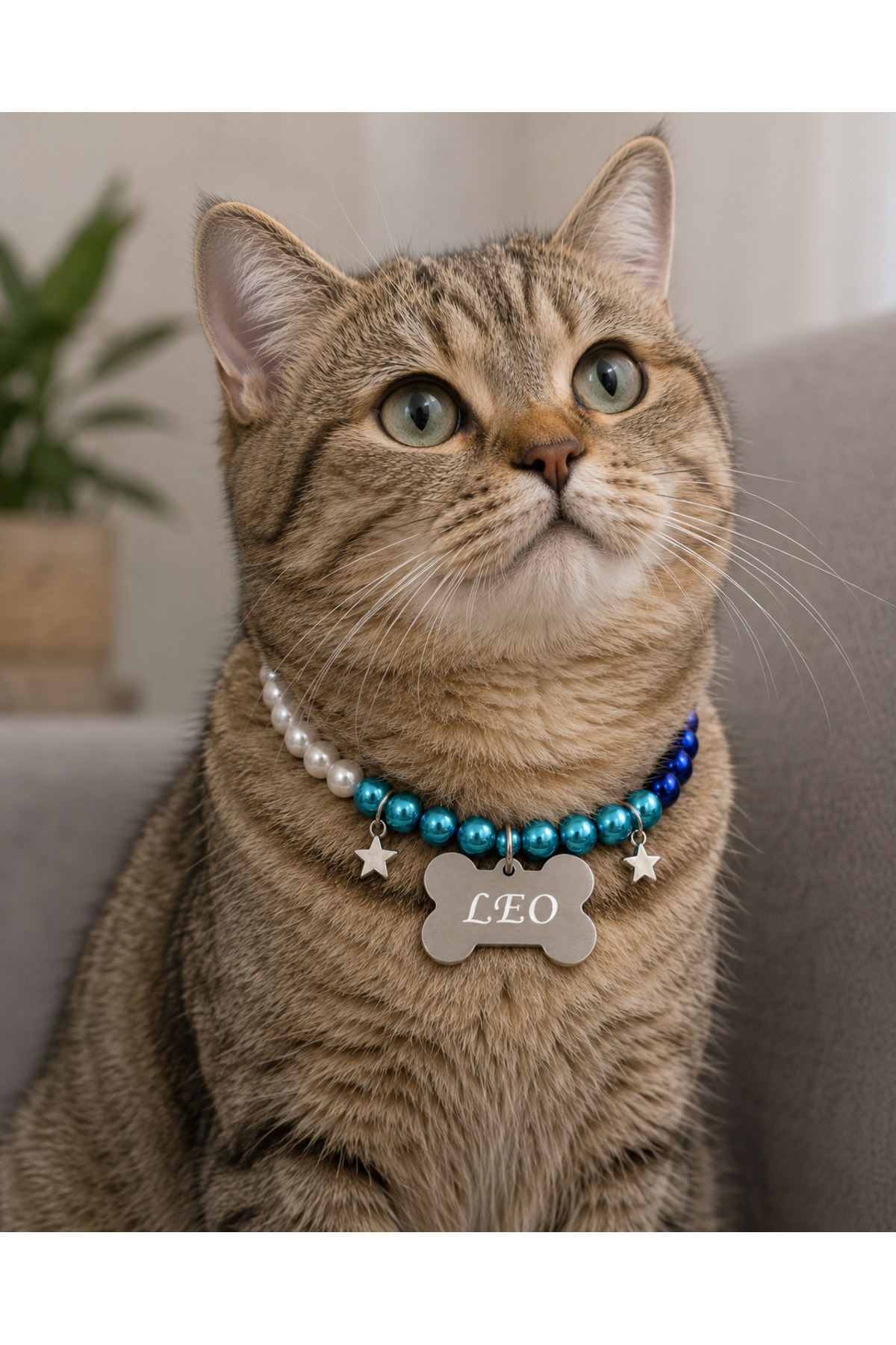 Store Mavi İsimli Köpek Tasması Kedi Tasması Metal İsimlik Künyeli Tasma Pet Aksesuar İnci Boncuklu Kedi Kolyesi Köpek Kolyesi