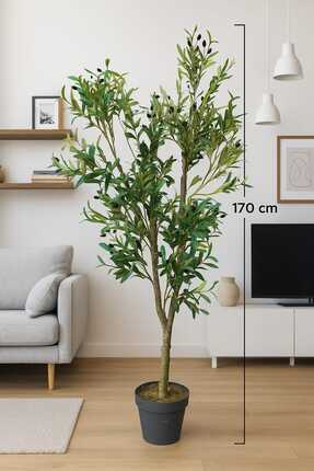 MAKİ DEKOR Yapay Zeytin Ağacı 170 Cm Boyunda Dekoratif Modern İç Mekan Salon ...