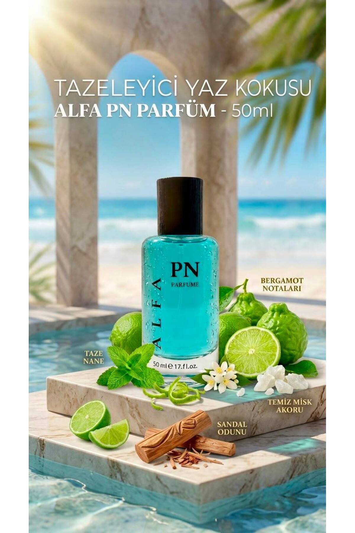 PIEN 336