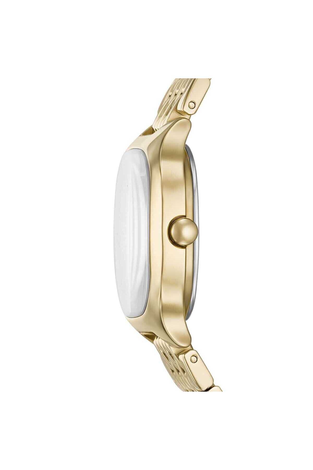 Skagen SKW3162 Kadın Kol Saati görsel 2