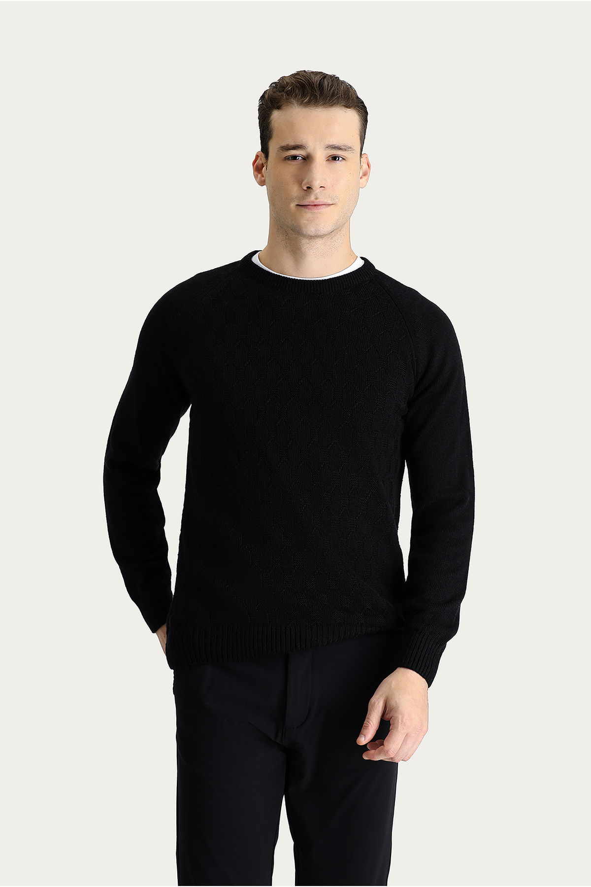 Kiğılı Bisiklet Yaka Regular Fit Desenli Triko Kazak görsel 4