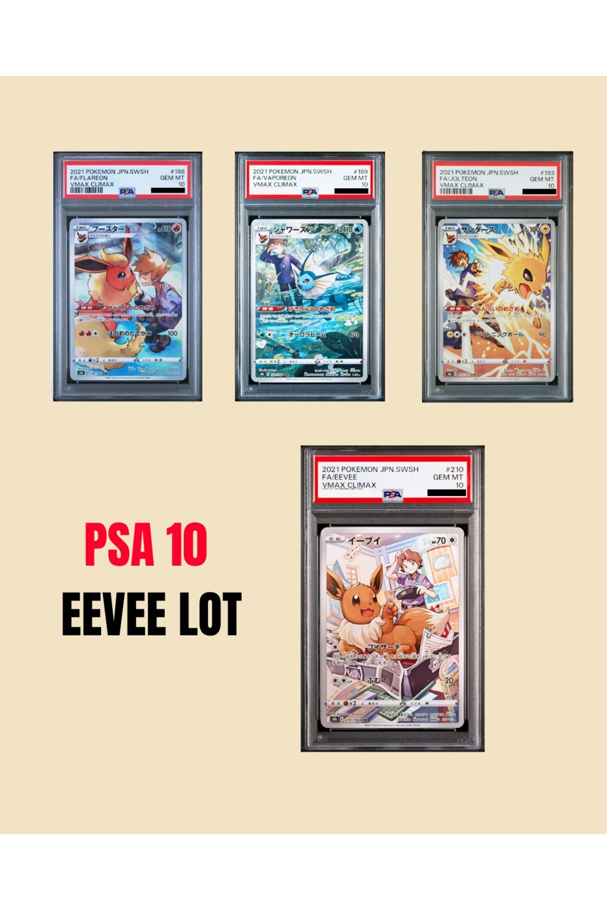 Pokemon TCG PSA 10 Japonca Eevee Evrim Lotu (Eevee, Flareon