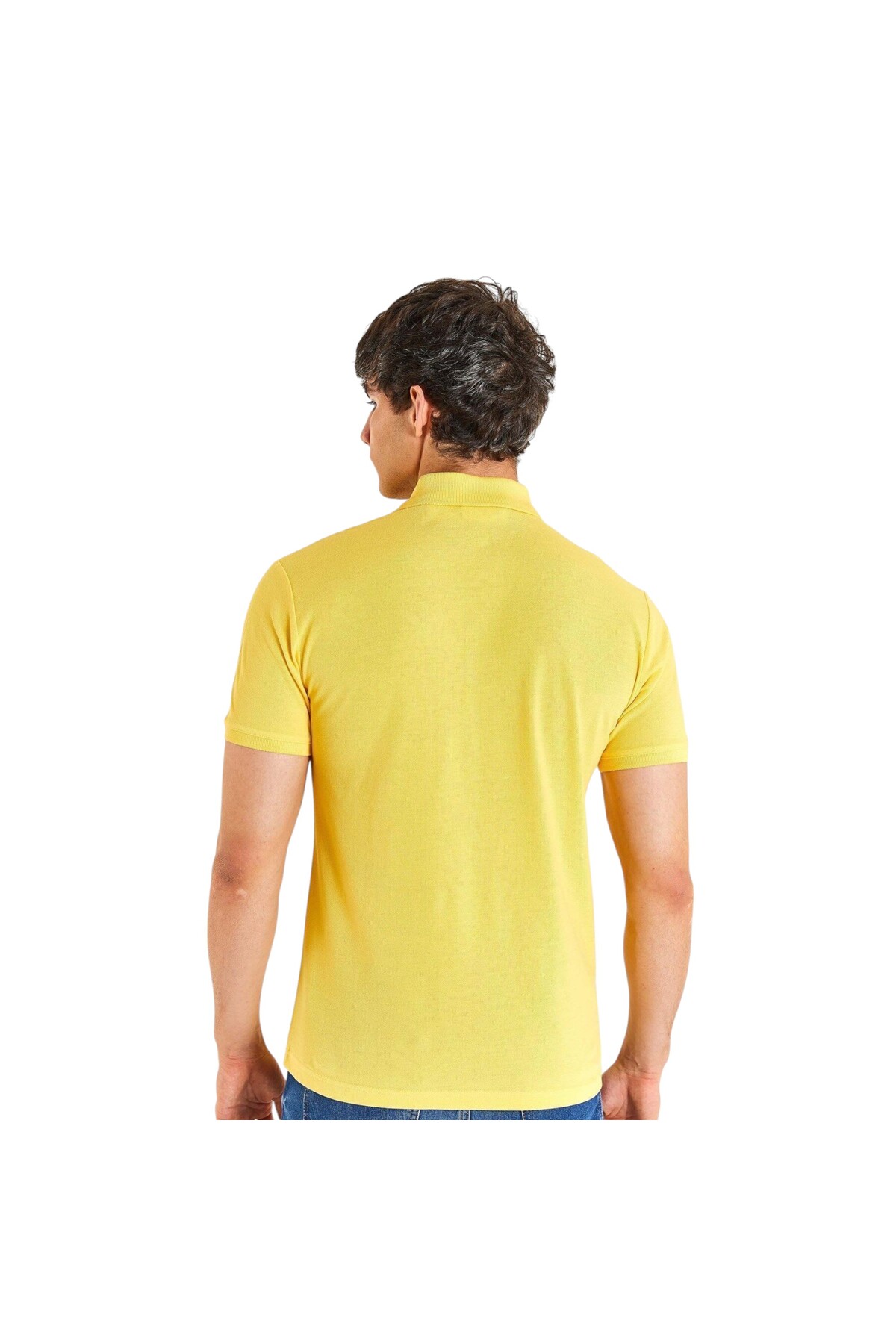 پولوشرت مردانه یقه پلو | یو اس پولو U.S. Polo Assn. 50279573-VR044 TR - تصویر 3