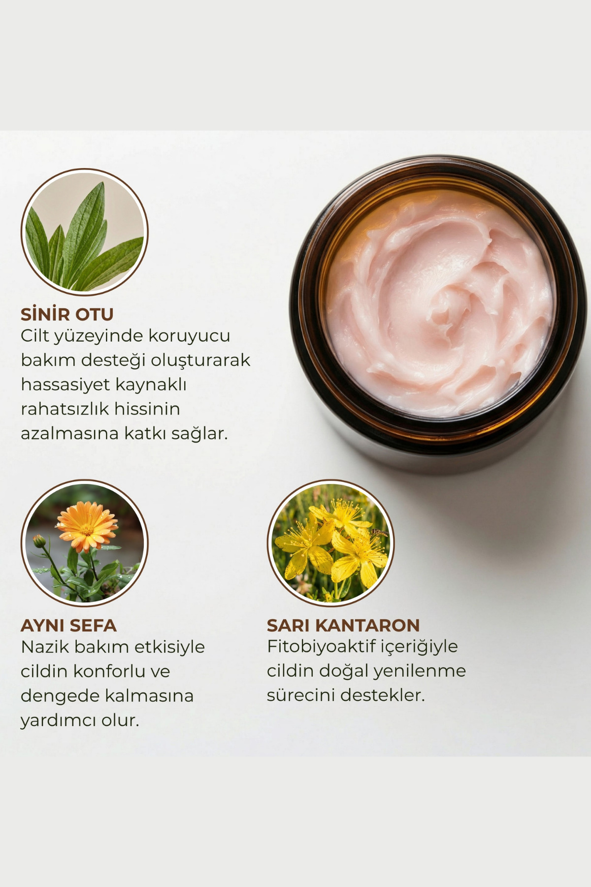 Sarı Kantaron Balm Family Hero %100 Doğal Cilt Bariyeri Onarıcı Nemlendirici Vücut Krem Kuru Ciltler Bakım — MK8682079417013 — تصویر 8 از 9