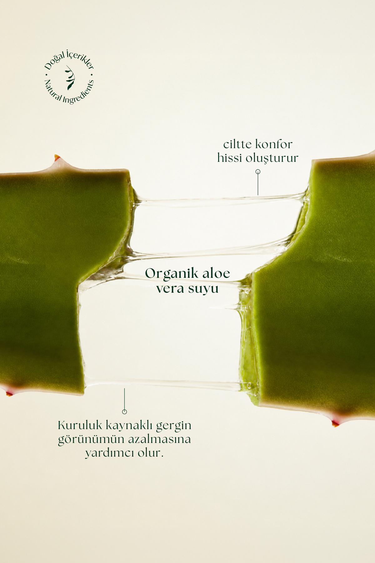 Doğal Yüz Misti — 153.99.05.001 — تصویر 6 از 9