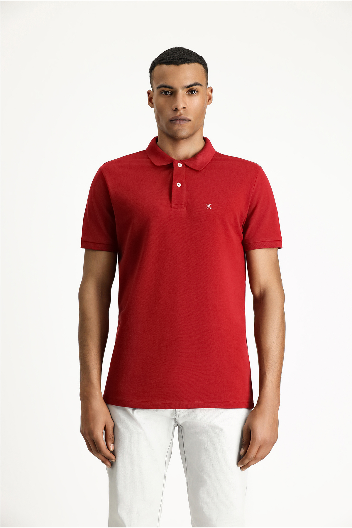 Kiğılı Polo Yaka Slim Fit Nakışlı %100 Pamuk Tişört görsel 3