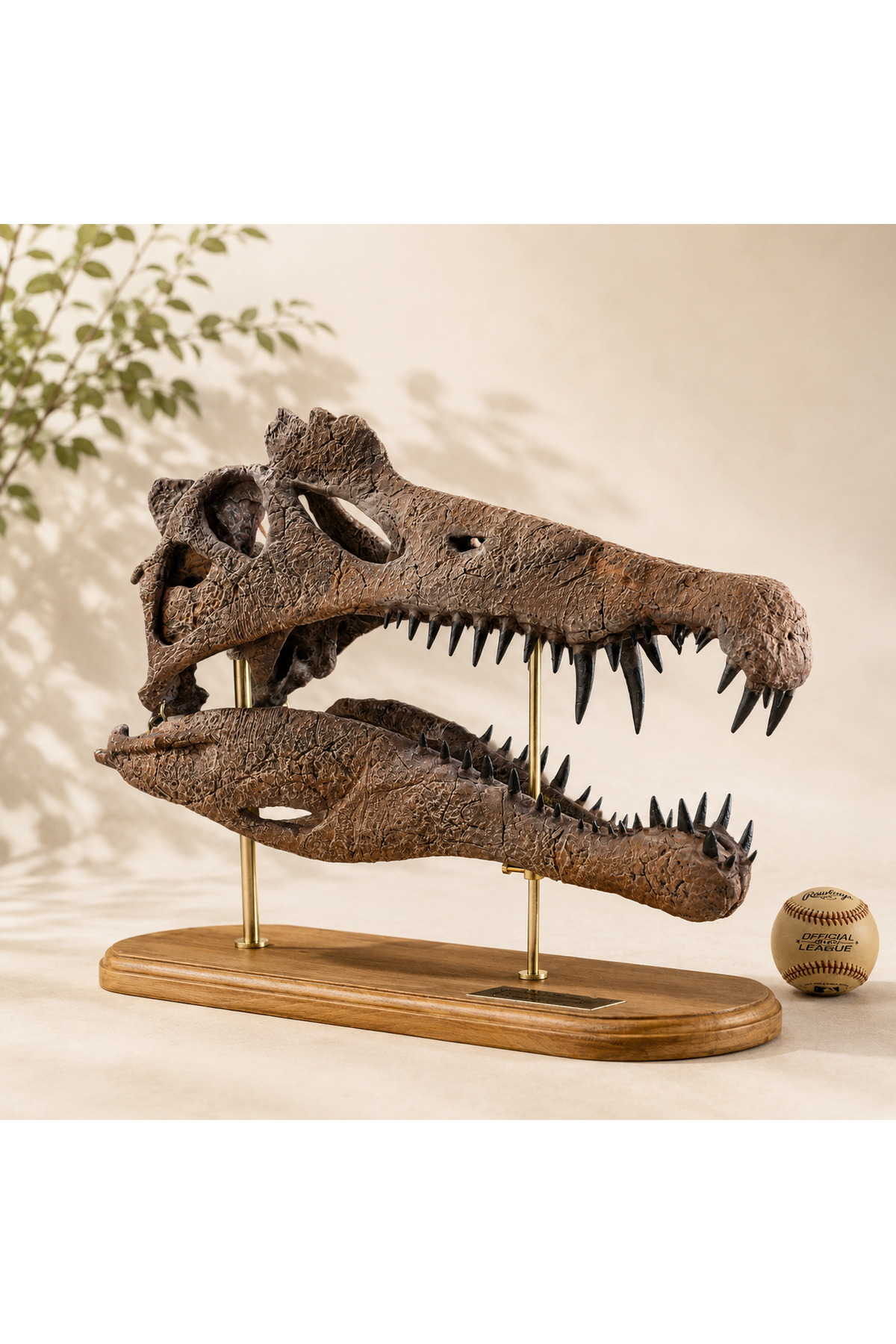 halusbushcraft Spinosaurus Dinozor Fosili Replikası (Müze