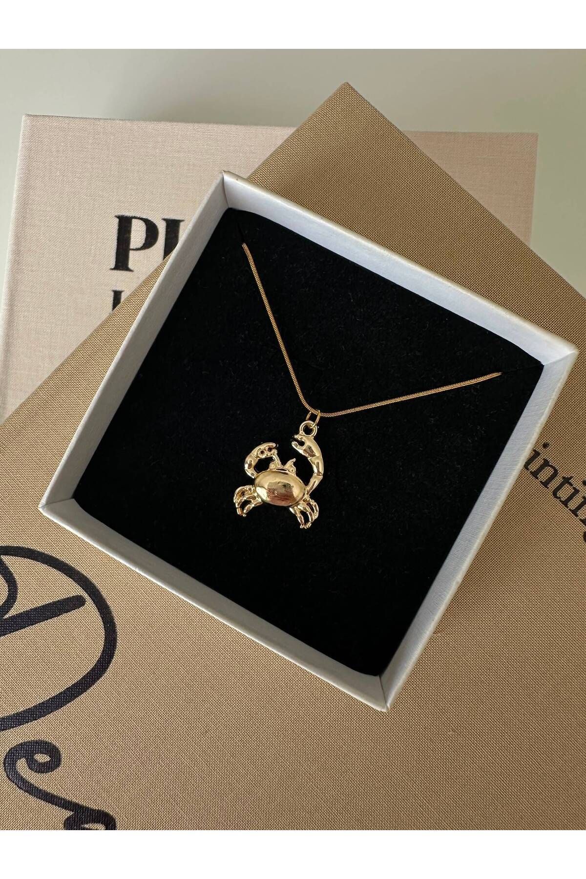 Yengeç Charm Çelik Zincirli 45 cm Yazlık Gold Kolye - Detay Görseli 2