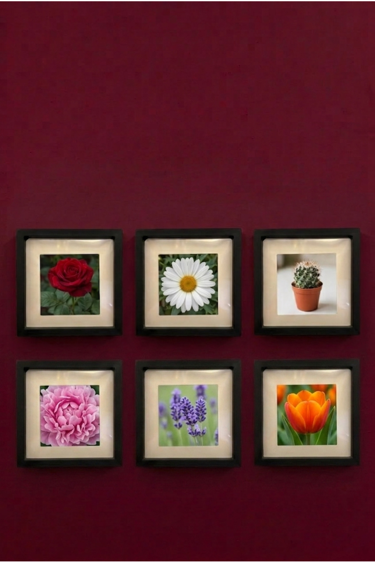 6 X 14X14 PHOTO FRAMES WALL MOUNTABLE R & D FRAMES
