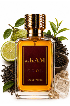thekam Cool Fresh Kalıcı Erkek Parfümü – Temiz Ferah Yaz Parfümü Günlük Kulla...