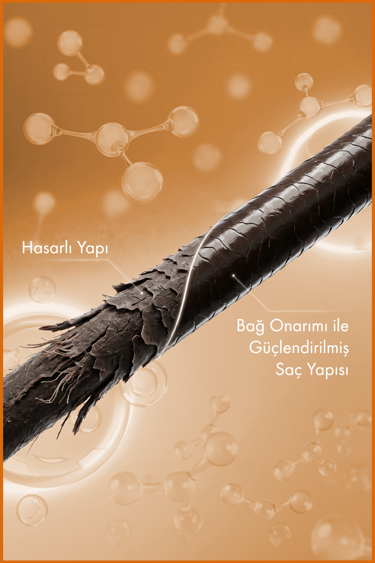 BioBond Repair™ Bağ Onarıcı Durulanmayan Isı Koruyucu Saç Kremi 200 ML — 8682397033445 — تصویر 5 از 7