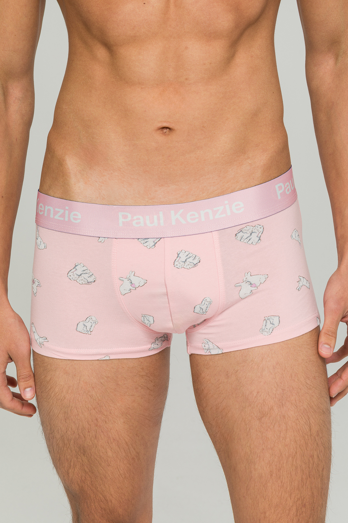 Paul Kenzie Erkek Trunk Boxer - White Rabbit görsel 5
