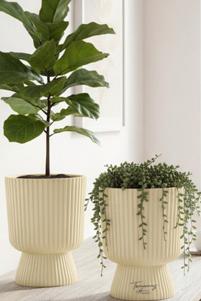 TEMMUZ HOME Lotus 2'li Set 1.8 Litre Ayaklı Saksı - 19.5 cm X 14 cm Çiçek ve ...