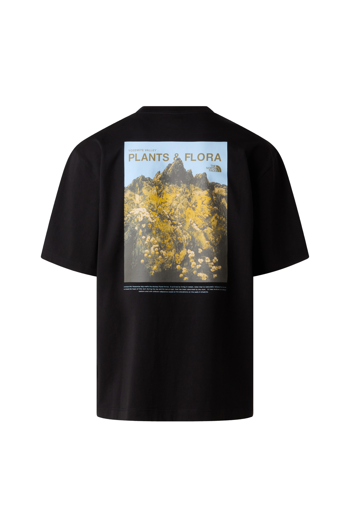 The North Face M Plant & Flora Oversıze Short Sleeve Te Erkek
