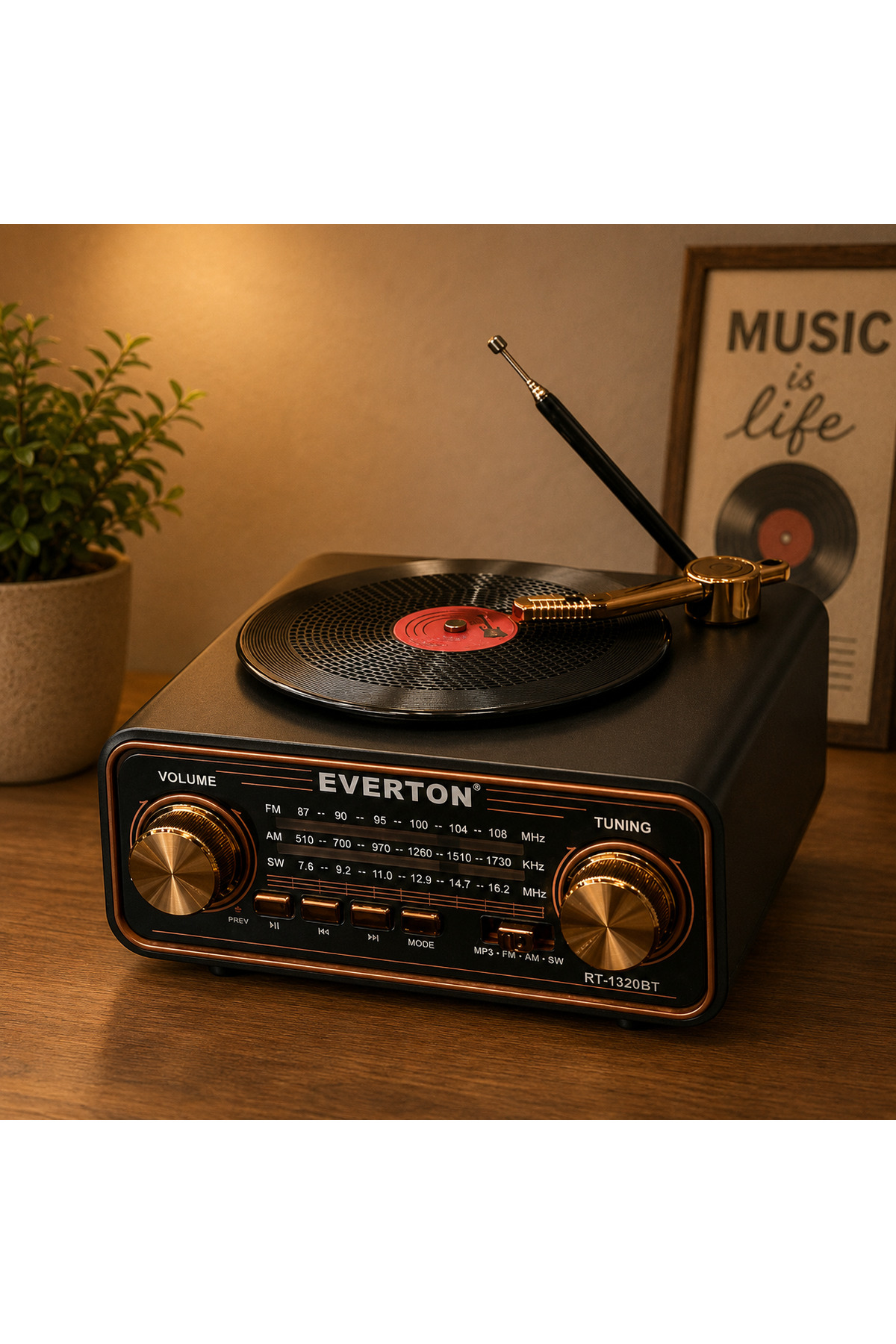Everton RT-1320 Bluetooth Usb-Micro Plak Radyo