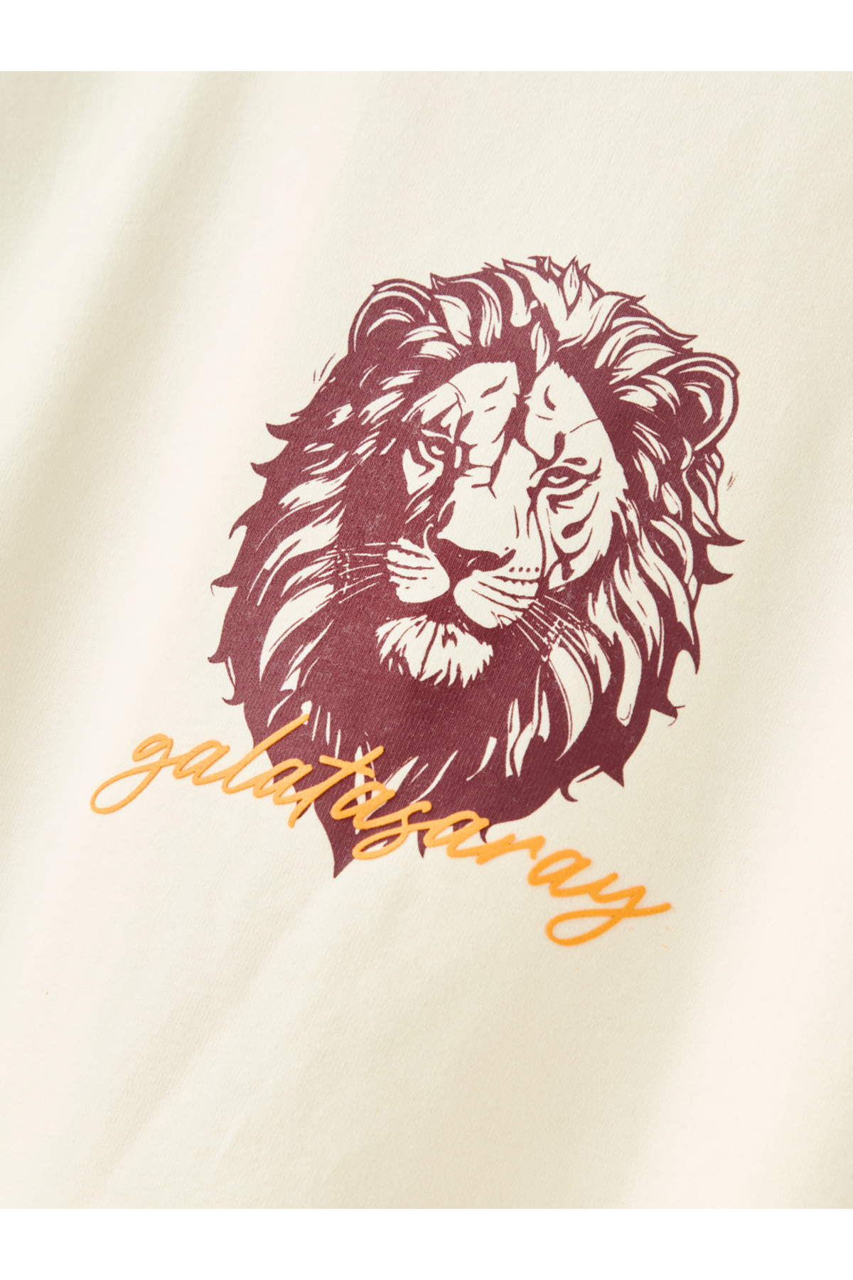 GSStore Galatasaray Kadın T-Shirt K261086 görsel 3