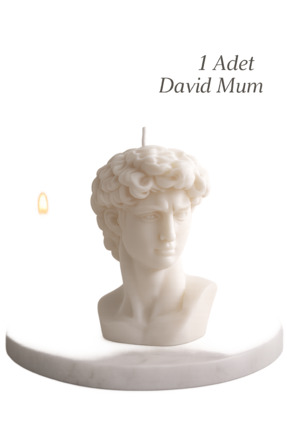 LUMİNA David soya mumu Doğal Dekoratif Kokulu Mum