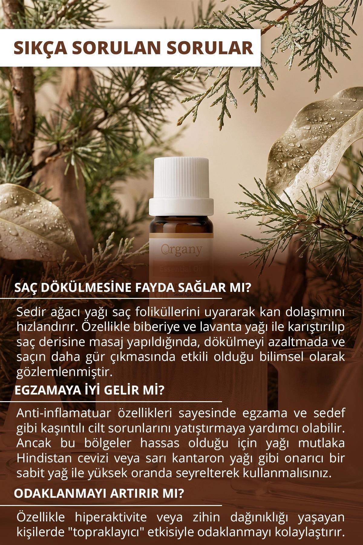 Kepeği Önleyici Sedir Ağacı Yağı %100 Doğal Saç Derisi Bakım Yağı Cedarwood Essential Oil 10 ml — OGEY10SEO — تصویر 4 از 5