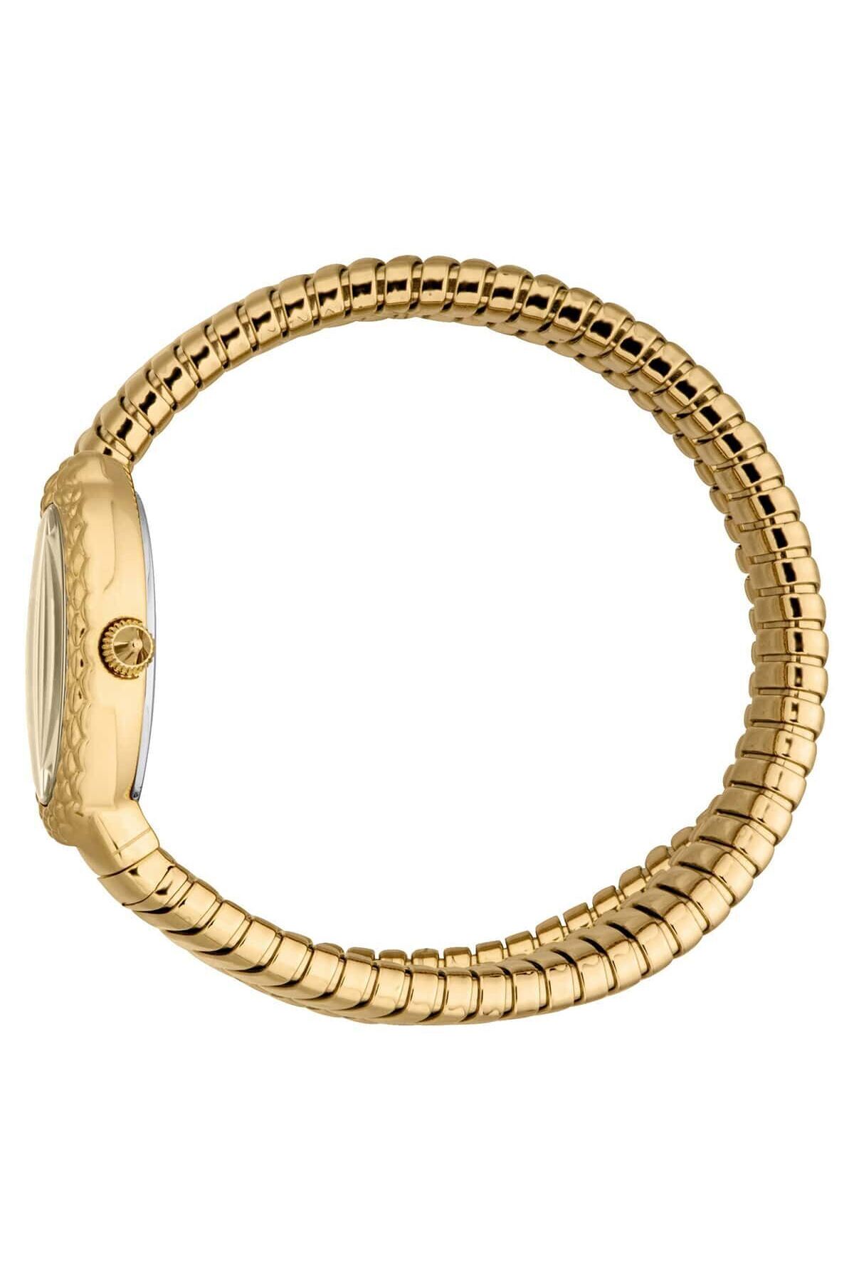 Just Cavalli JC1L391M0025 Kadın Kol Saati görsel 2