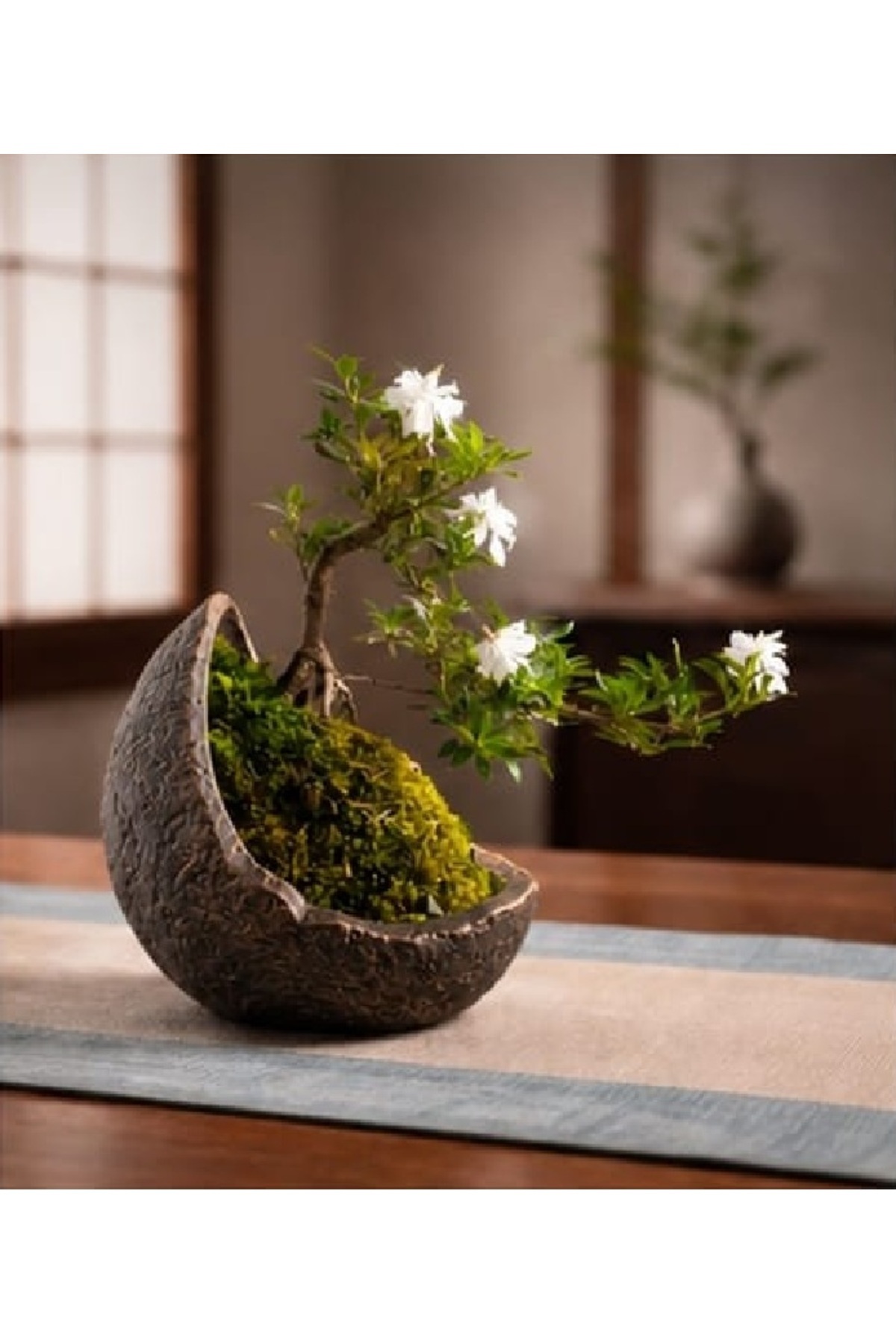 Bonsai Flower Pot Stone Textured Crescent Design Flower Pot Vase Custom Design Handmade Decorative Flower Pot