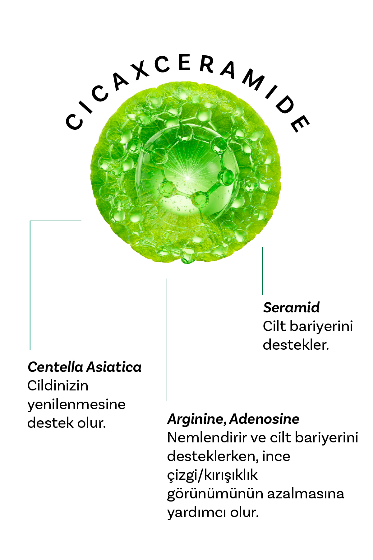 CICAXMIDE Göz Çevresi Kremi 40 gr ve Dermal 3 Katmanlı Rose Gold Göz Maskesi 4 gr — DERMALGÖZKREMİROSEMASKESET-A — تصویر 3 از 8