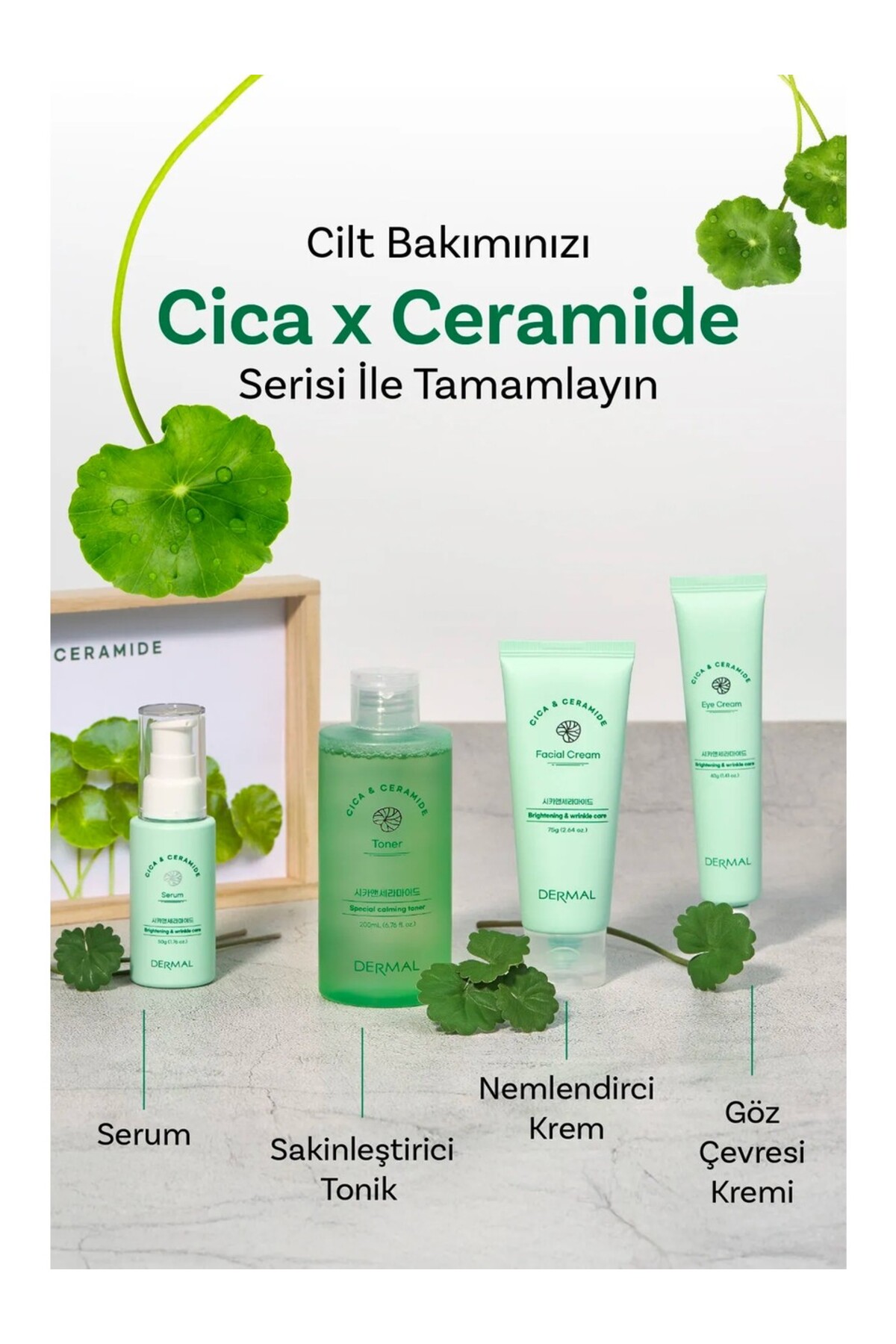 Cıca X Mide Centella Asiatica Özlü Temizleme Yağı ve Serumu — DERMALCİCASET02 — تصویر 5 از 8