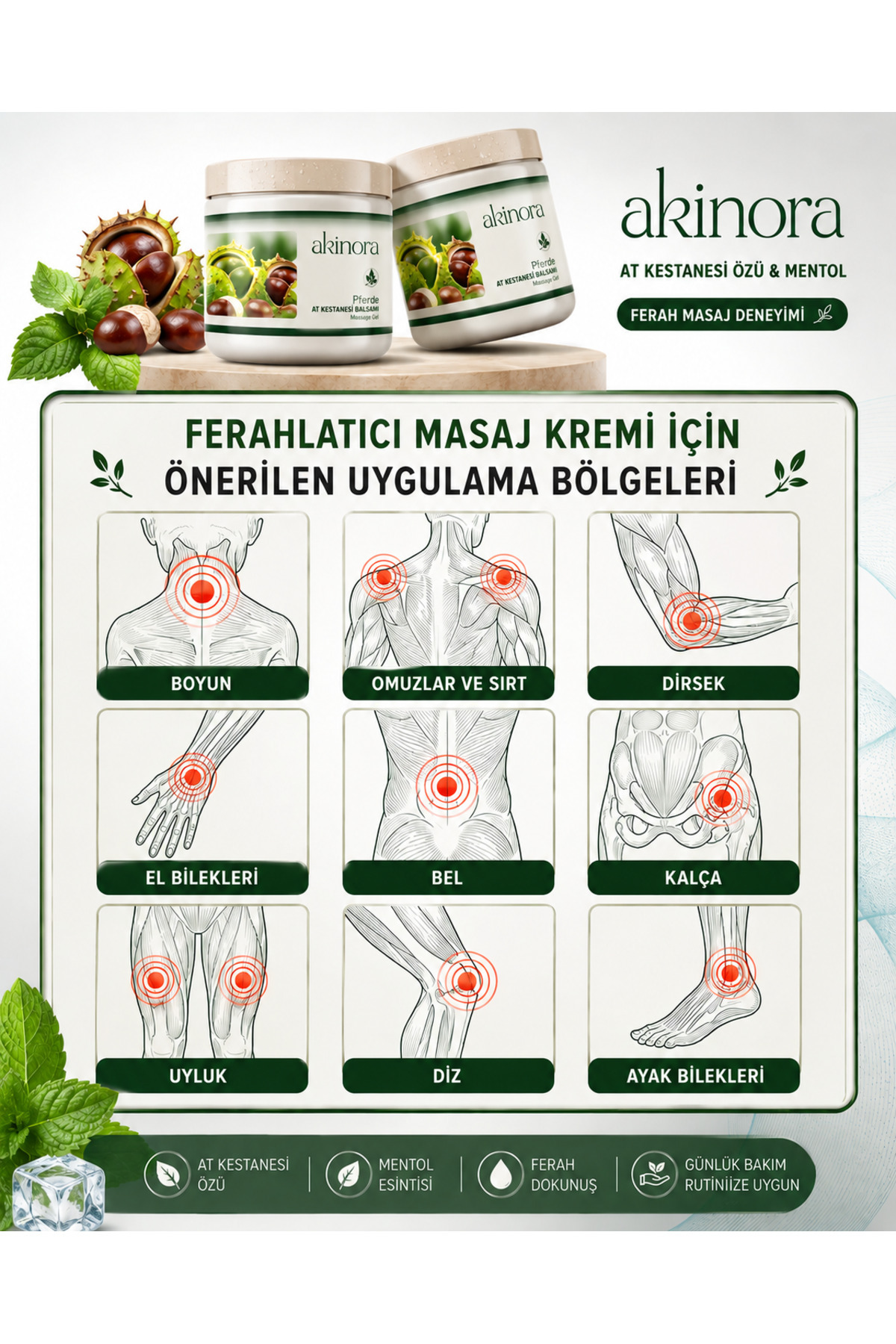 Yoğun At Kestanesi Jeli & Mentollü Masaj Kremi (2×500 ml) — 10030 — تصویر 3 از 4