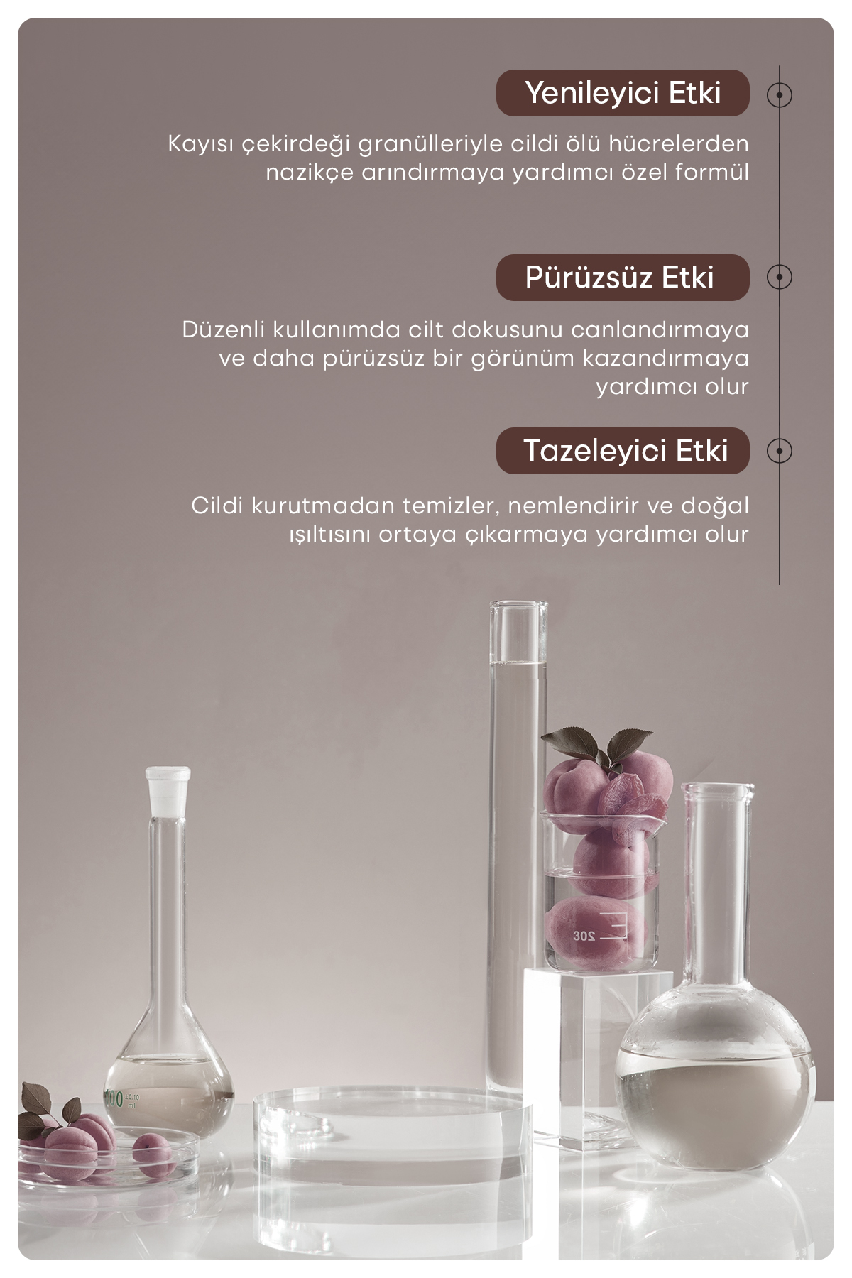 Scrub Cream Kayısı Çekirdeği Tanecikli Işıltı ve Nem Veren Vücut Peeling Kremi 200 gr — 8684790344289 — تصویر 4 از 5